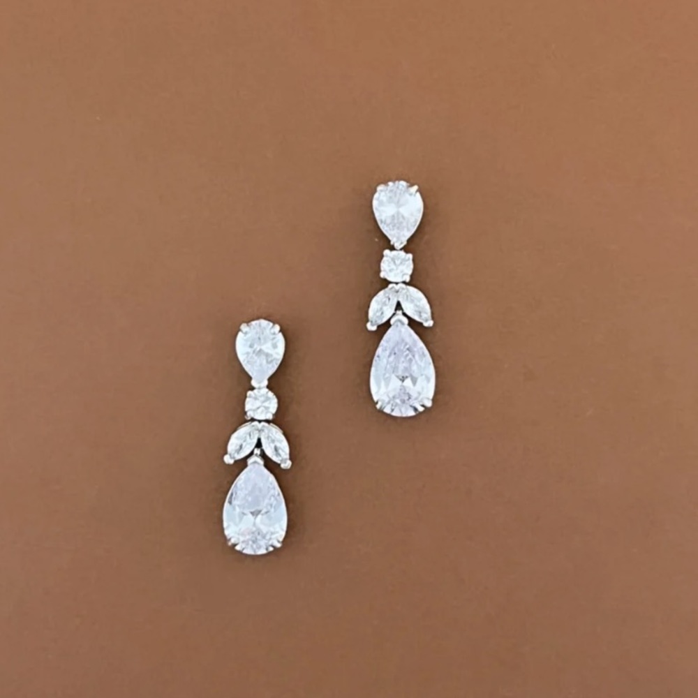 NWT earrings